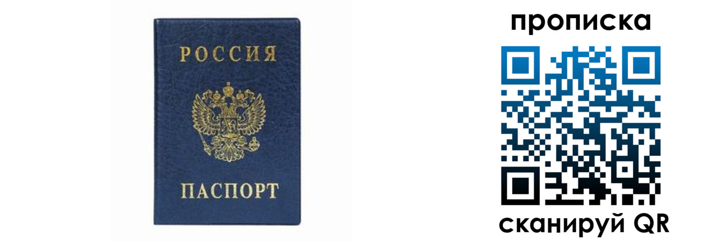 временная регистрация поиск в Семикаракорске